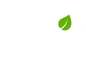 eco friendly logo